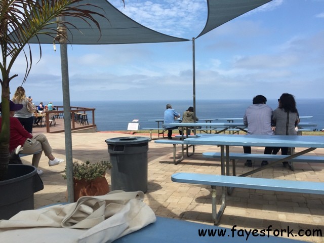 VIEW FROM THE CENTER PATIO