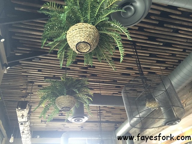 CEILING FIXTURES