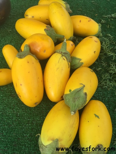 FARMER'S MARKET FOODVENTURE 028