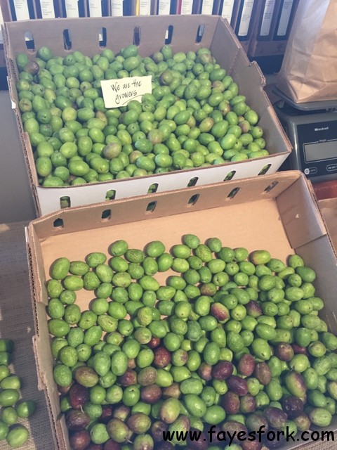 RAW OLIVES