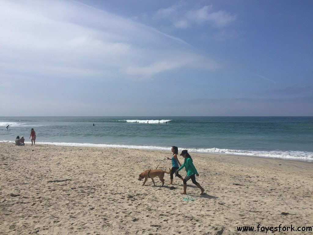 The ocean