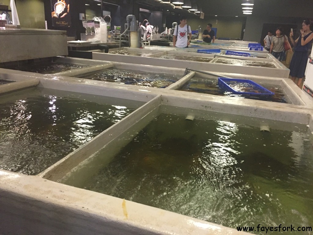 addiction-aquatic-development-34