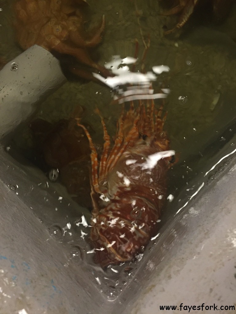 addiction-aquatic-development-36