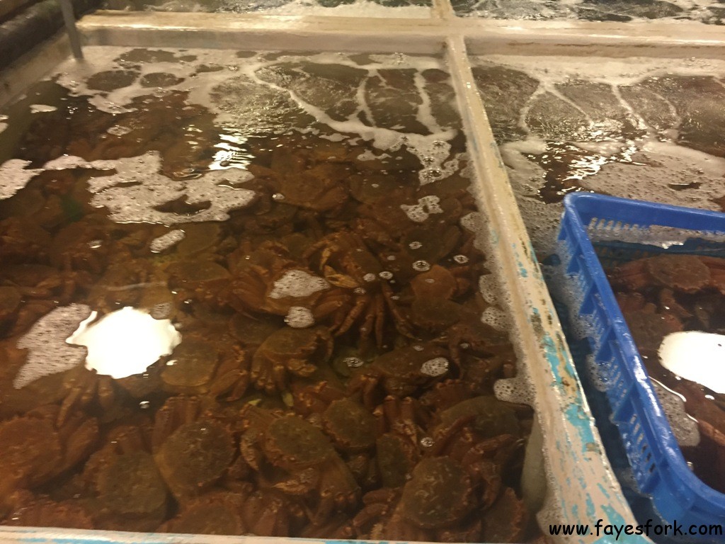 addiction-aquatic-development-39