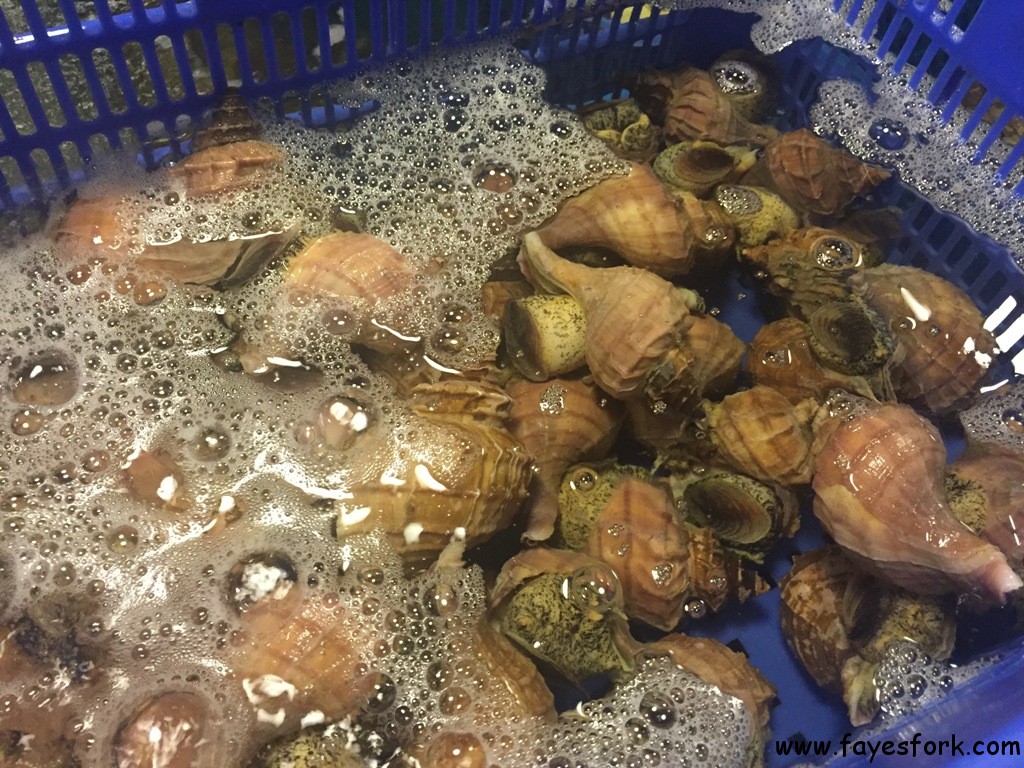 addiction-aquatic-development-40